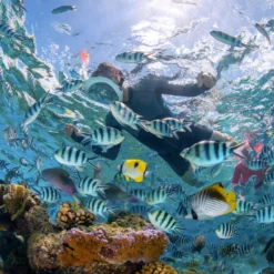 Subea Snorkeling & Scubadiving Adult Easybreath Surface Mask 500 Grey